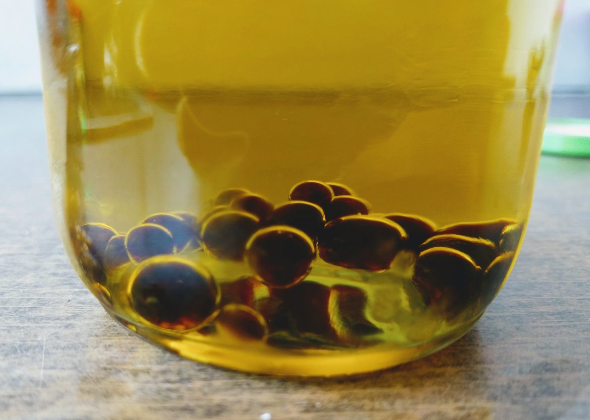 Balsamic vinegar pearls a spectacular decoration