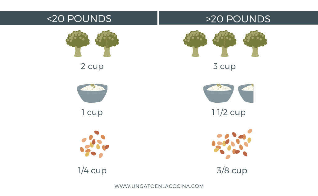 Sample portions +20 and -20